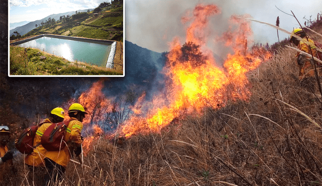 El Midagri ha propuesto la construcción de varios infraestructuras que prometen ser la solución a los incendios forestales. Foto: composición LR/Andina.