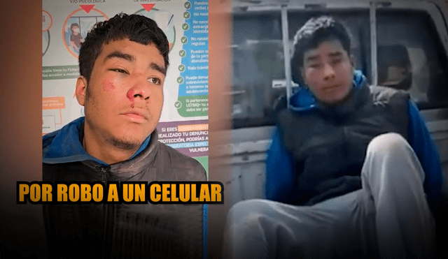 Joven fue atrapado cuando intentó huir a pie por un parque de Los Olivos. Foto: Composición LR