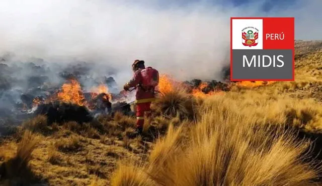 Los bonos y el resto de apoyo para los afectados de los incendios fue anunciado por el titular del Midis. Foto: Andina/MIDIS/LR