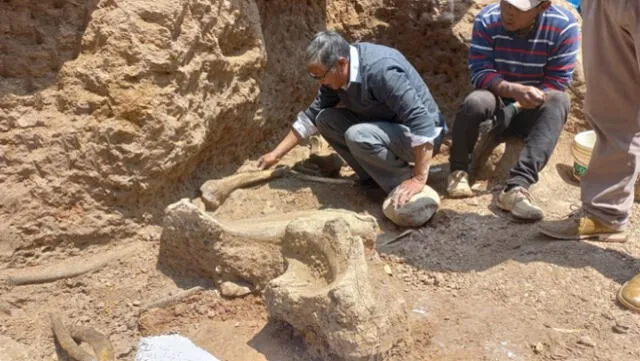 El hallazgo de restos fósiles de mastodonte podrían convertir a Chambará en una de las más importantes del Perú.Foto: Ingemmet