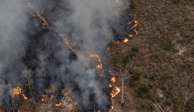 Incendios forestales en Amazonas dejan 7 muertos y arrasan con hábitat de oso andino