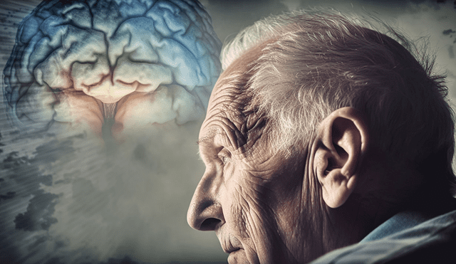 El 60% de las personas tiene demencia por la enfermedad del Alzheimer. Foto: Avance y Perspectiva