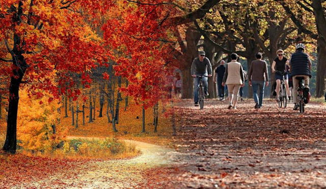 El equinoccio de otoño tiene las mejores festividades y el clima es agradable. Foto: composición LR/ X