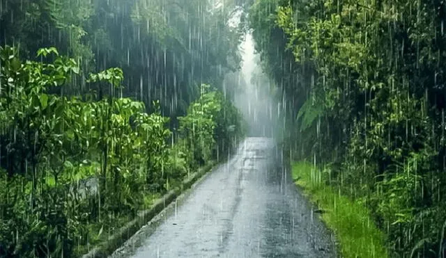 Lluvias serán localizadas y débiles al inicio de la nueva estación, estima el Senamhi. Andina