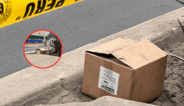 Encuentran un feto en plena avenida en Comas. Foto: composición LR