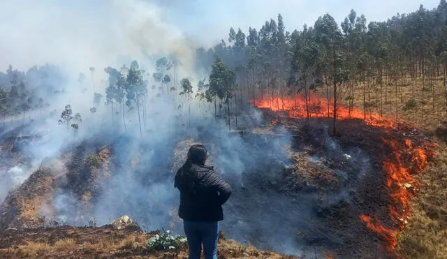 Incendios en la región La Libertad dejaron un saldo negativo de más de 1000 hectáreas de cobertura vegetal destruidas. Foto: Andina