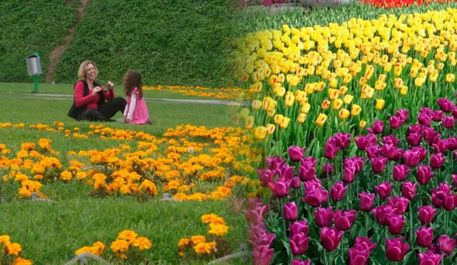 Revisa por qué el 23 de septiembre se celebra el inicio de la primavera en el Perú. Foto: Composición LR/Andina.