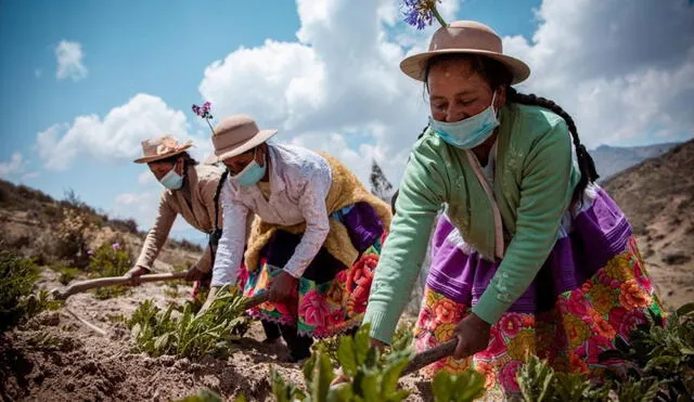 Optimismo. Respuesta positiva del subsector agrícola contempla mayores avances.