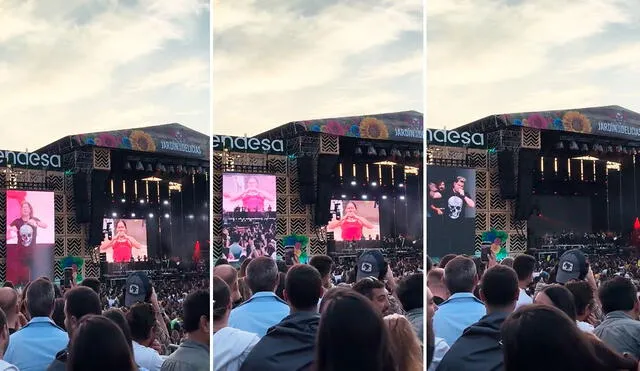 La coreografía no solo llenó de alegría a los asistentes del concierto, sino que también inspiró a otros a unirse a la fiesta. Foto: composición LR/TikTok/@fabiana_fossa