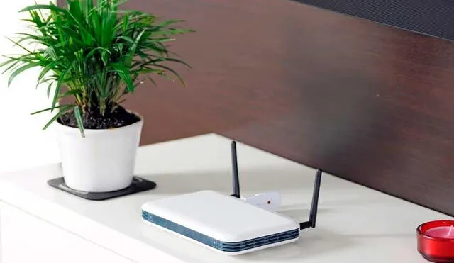 Las ondas del router afectan al crecimiento de las plantas. Foto: Los Andes