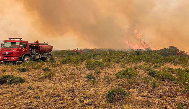 Se estima que son más de 30.000 hectáreas afectadas por incendios forestales en Amazonas. Foto: Municipalidad Provincial de Luya-Lámud/Facebook