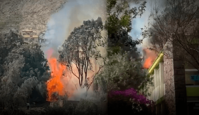 Incendio forestal en Lima.