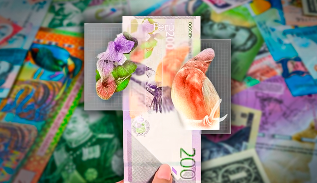 El diseño que tiene el billete de este país de Sudamérica posee colores vibrantes y un diseño llamativo. Foto: composición LR/Freepik/BCRP