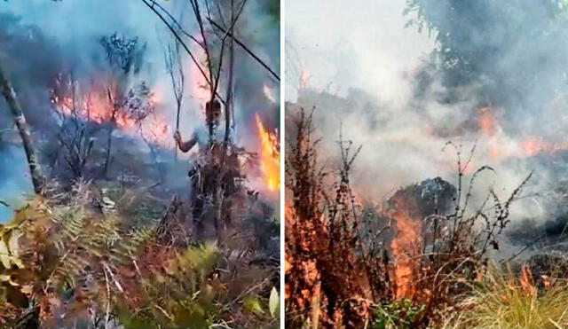 Provincias de Oxapampa y Daniel Alcides Carrión son las afectadas por los incendios forestales en Pasco. Foto: captura ATV