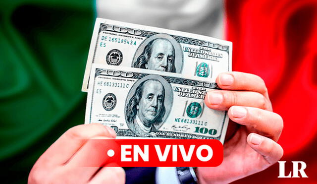 Precio del dólar en México hoy, 25 de septiembre de 2024, según Banco de México. Foto: Composición LR/CDN/Freepik