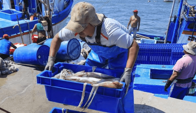 Pescadores aseguran que embarcaciones chinas dejan sin pota a nacionales. Foto: Difusión