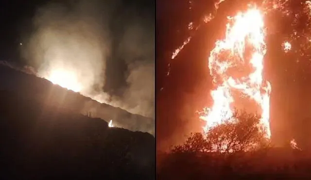 Nuevo incendio forestal se registra en la provincia de Ayabaca, Piura. Foto: Municipalidad de Pacaipampa