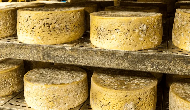 Las muestras de queso datan de hace 3.600 años. Foto: El Correo