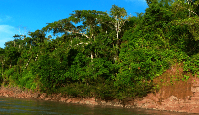 Según especialista es momento de actuar por el futuro de la biodiversidad. Fuente: Difusión