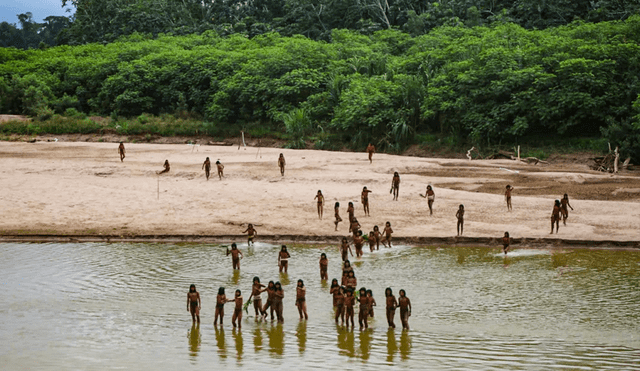 En Perú estima que existen entre 12 y 15 tribus no contactadas, principalmente en la región de Madre de Dios y la cuenca del río Ucayali, en la Amazonía. Foto: composición LR/Survival International