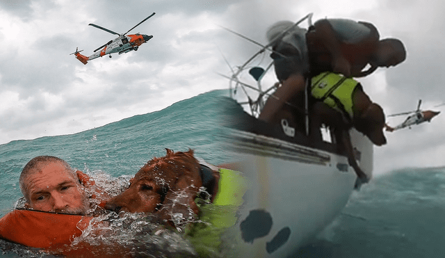 Una historia conmovedora sucedió en el océano luego del desastre ocurrido por el huracán Helene. Foto: composición LR/difusión