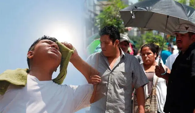 Amazonía soporta altas temperaturas de calor. Foto: La República