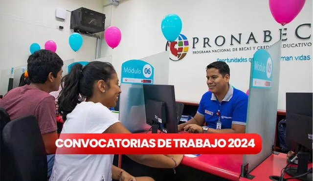 Las vacantes de Pronabec abarcan varias especialidades, incluidas Administración, Contabilidad y Psicología. Foto: Minedu