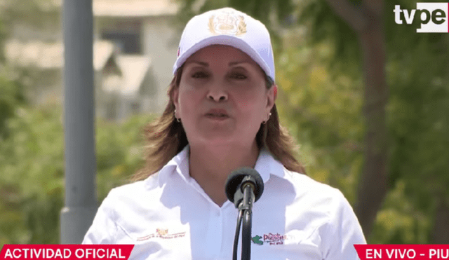 Dina Boluarte culpó a los "operadores" de fomentar la criminalidad en la ciudadanía. Foto: captura de TV Perú