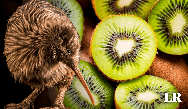 Kiwi enfrenta una situación preocupante en su hábitat natural.  Foto: composición LR/National Geographic