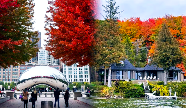 El paisaje de Chicago comenzará a transformarse con los colores del otoño estadounidense. Foto: composición LR