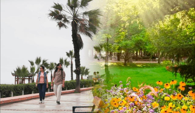 La primavera ha llegado y muchos pacientes con problemas emocionales afrontan este cambio con mucha dificultad. Foto: composición LR