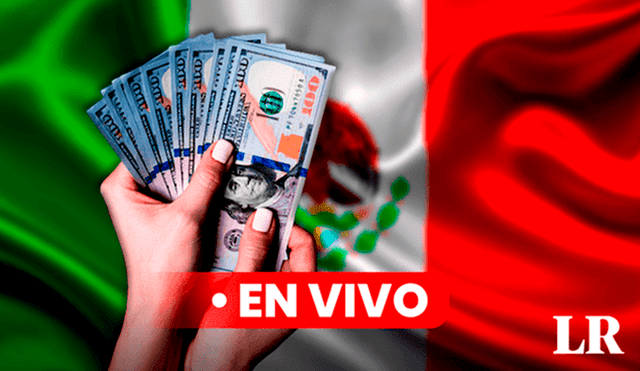 Consulta el Precio del dólar en México hoy, 1 de octubre de 2024, según Banco de México (Banxico). Foto: Composición LR/CDN/Freepik