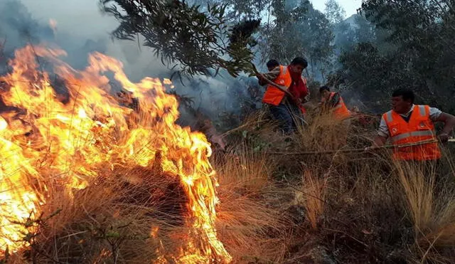 Incendios forestales continúan afectando la amazonía. Foto: difusión