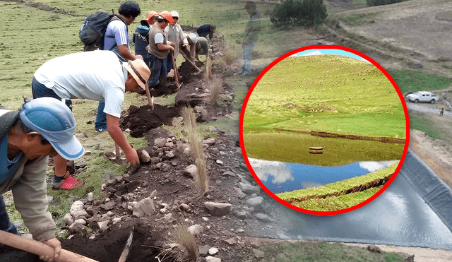 La siembra y cosecha de agua es una técnica ancestral que almacena agua de lluvia en zanjas y reservorios, ayudando a combatir la sequía en zonas rurales del Perú. Foto: composición LR/difusión