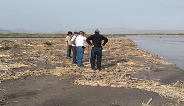 Autoridades realizan acciones inmediatas para evitar riesgo de población debido a la contaminación del río Tambo. Foto: Andina