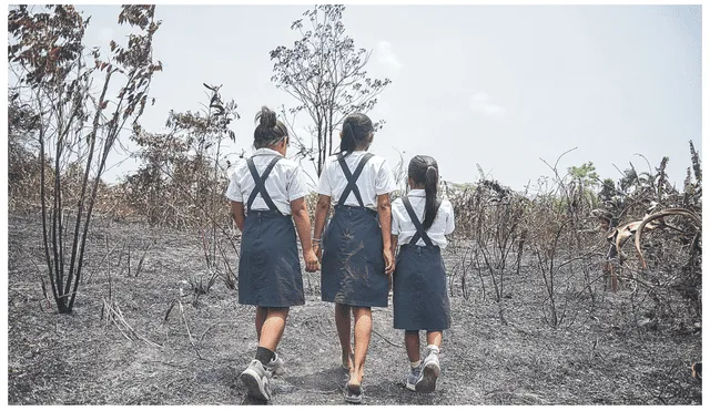 El fuego y la ceniza generan problemas respiratorios, dificulta la visión y causa escozor, afectando especialmente a los niños asentados en los bosques amazónicos.