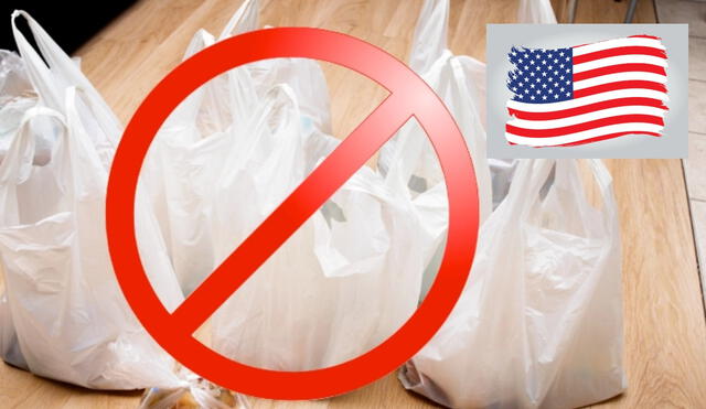 California se suma a más de 10 estados de EE. UU. que han restringido las bolsas plásticas. Esta medida podría disminuir en un 50% el uso de plásticos desechables en supermercados locales. Foto: composición LR / Vecteezy / Abasto