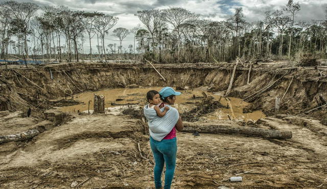 La minería ilegal ha afectado más de 2 millones 491.390 ha, con la deforestación de 115.000 ha de bosques. Foto: LR