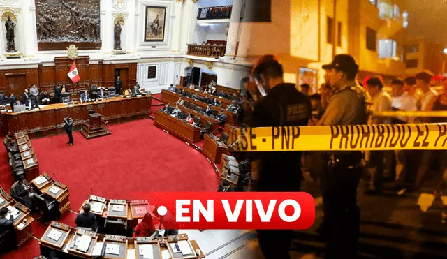 El Pleno busca añadir un nuevo artículo al Código Penal Decreto Legislativo 635. Foto: composiciónLR/difusión