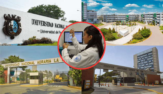 Los egresados con experiencia ganan más de S/6.000 mensuales. Foto: composición LR/UNMSM/UCSM/UNALM/PUCP/Universidad de Puebla México