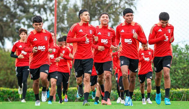 La selección peruana sub-15 ha salido campeona del Sudamericano de la categoría una vez. Foto: FPF