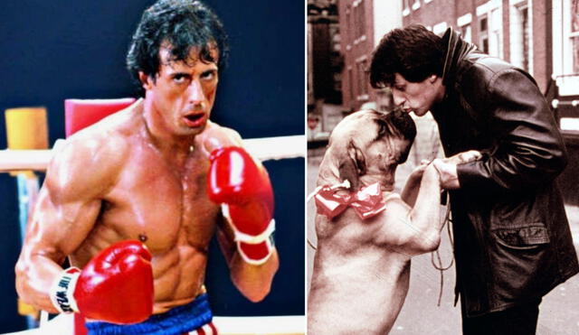 Sylvester Stallone es conocido por películas como 'Rocky' y 'Rambo'. Foto: composición LR/ Chartoff-Winkler Productions