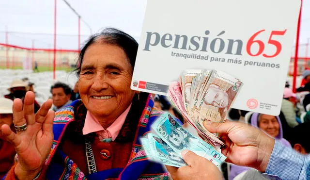 Gobierno oficializó aumento en el programa Pensión 65. Foto: Composición LR/Andina.