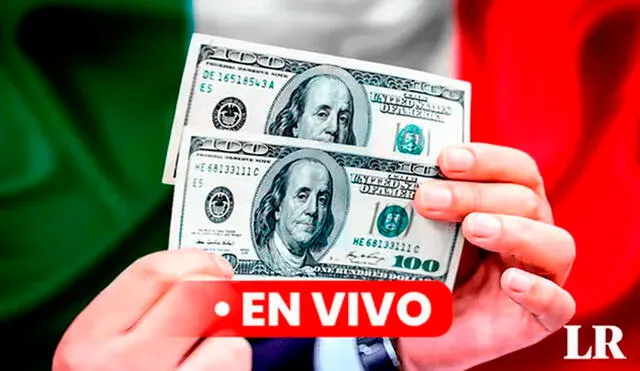 Precio del dólar en México hoy, 8 de octubre de 2024, según Banco de México. Foto: Composición LR/CDN/Freepik