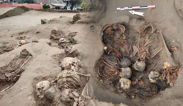 Esta civilización de Perú más antigua que el Imperio Otomano registra casi medio siglo de sacrificios humanos. Foto: composición LR / El Peruano