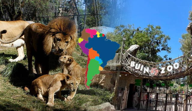 El nuevo bioparque en Latinoamérica buscará cuidar animales en peligro de extinción. Foto: composición LR/  Zoológico Buin Zoo/ Veectezy