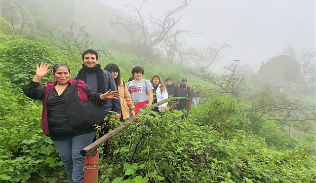 Reserva. Lachay ofrece circuitos para caminantes. Es un bello pulmón verde al norte de Lima.