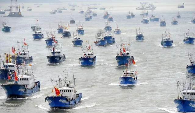 Entre mayo del 2023 y agosto de este año ingresaron de forma irregular más de 300 barcos chinos, según Sonapescal. Foto: Sonapescal