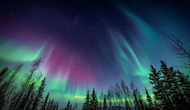 Las auroras boreales se pudieron presenciar en la noche del 10 de octubre en toda Norteamérica. Foto: AFP