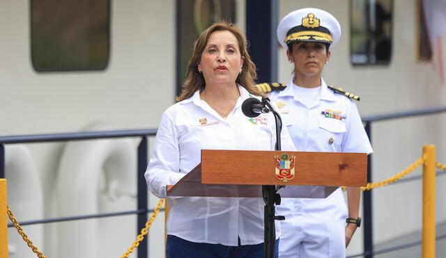 Dina Boluarte rechaza la violencia enfatizando que los peruanos no son "tirapiedras" en su lucha por la paz. | Foto: Presidencia de la República.